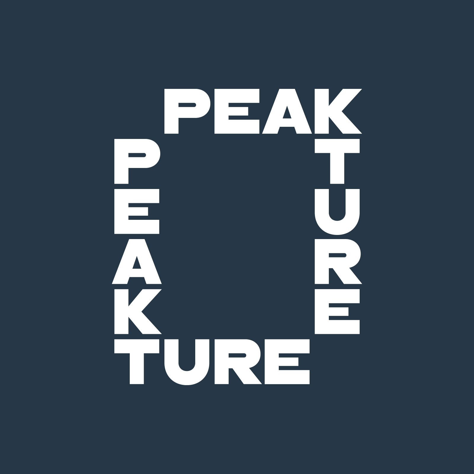 Peakture interlocking typographic wordmark in white on dark navy — logo by Brandient