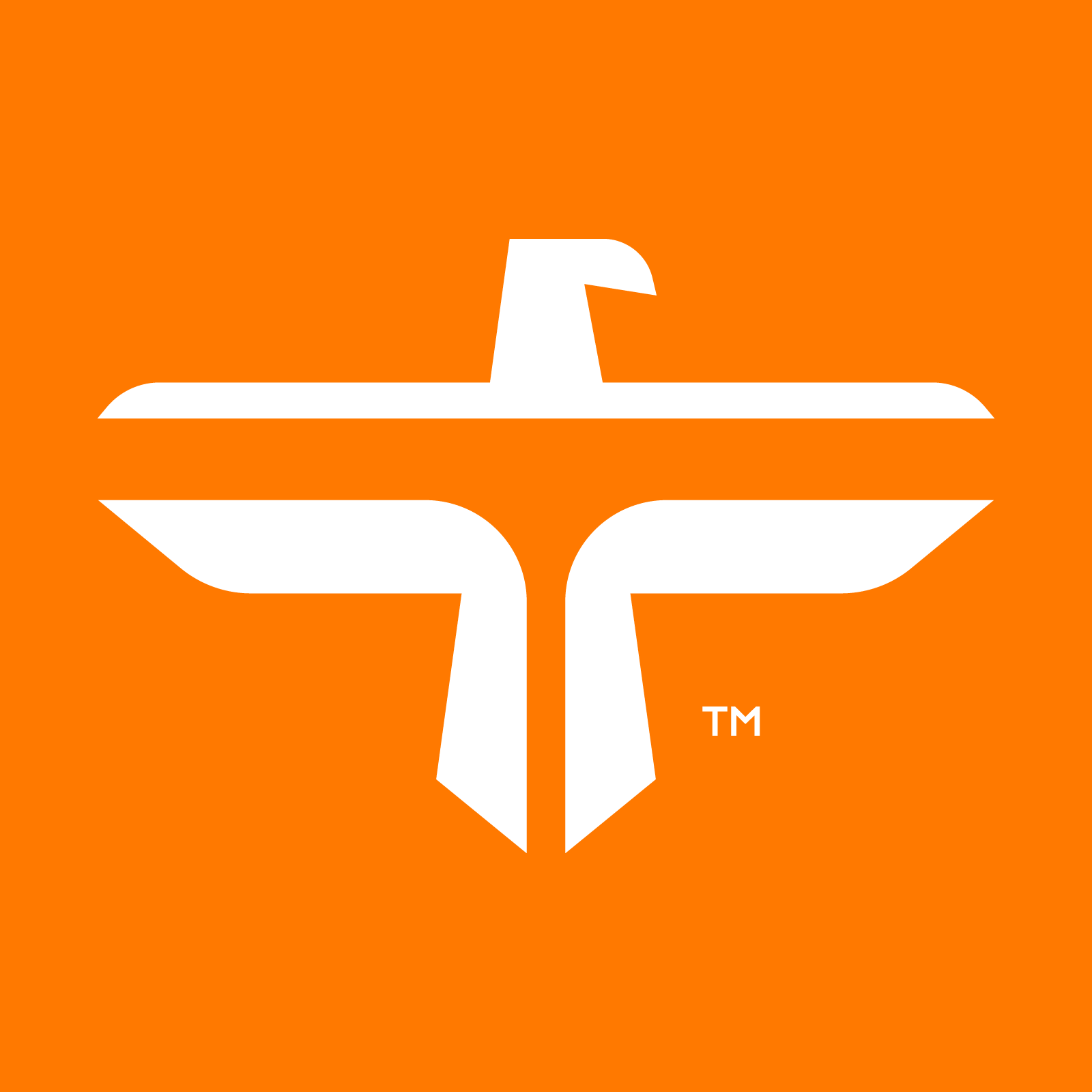 Transilvania Investments white bird symbol on orange square — logo by Brandient